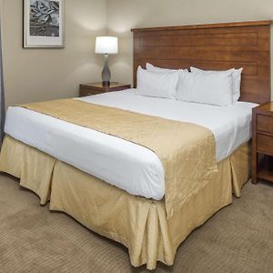 1 BEDROOM 1 KING SUITE ACCESSIBLE TUB